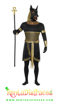 293A.- Disfraz de Dios Anubis
