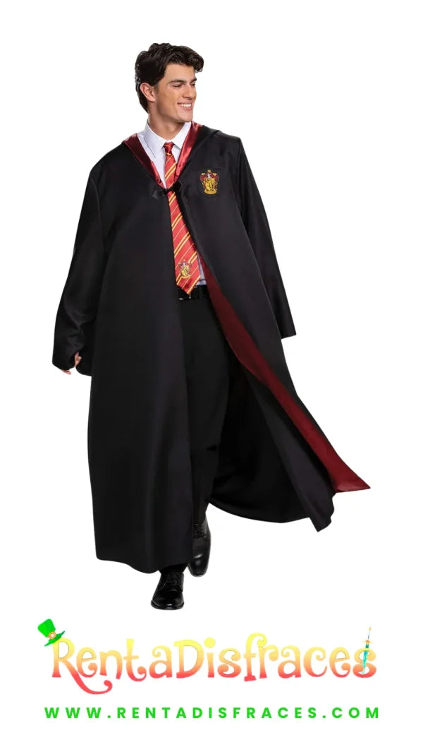 Disfraz de Harry Potter