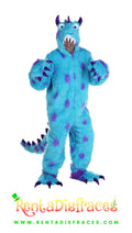 Disfraz de Sulley
