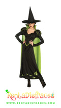 395.- Disfraz de Wicked