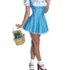 Disfraz de Dorothy, Disfraces de Disney, Renta de disfraces