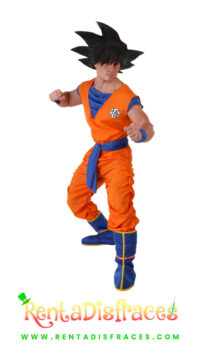 Disfraz de Goku, Disfaz de Dragon Ball, Disfraces de caricaturas, Renta de disfraces