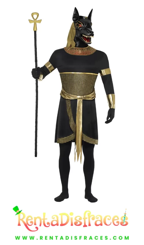 293A.-Dios Anubis