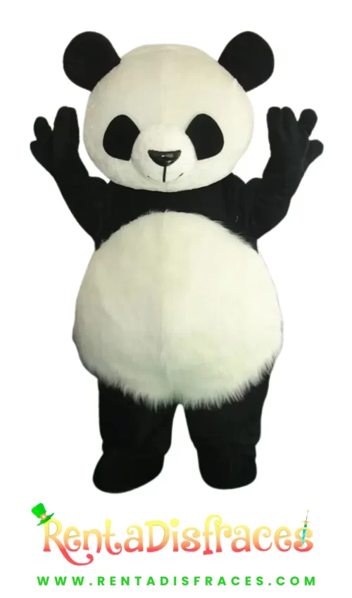 Oso Panda