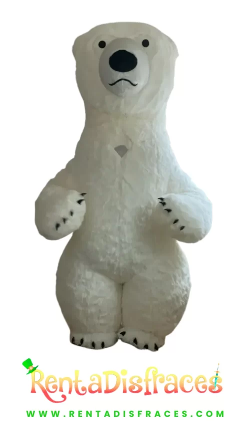 Oso Polar