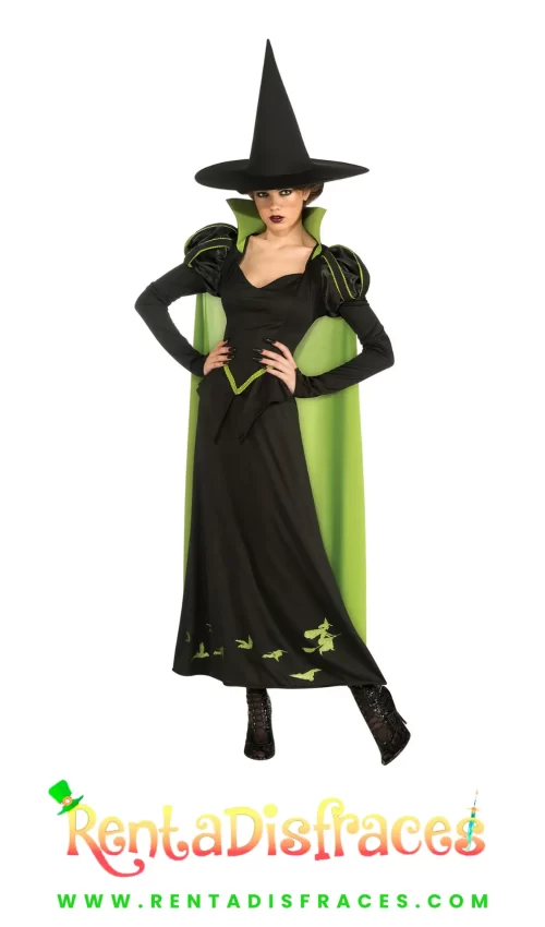 395.-Wicked
